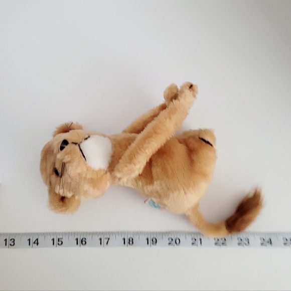 📌NA - Picture 12 of 12